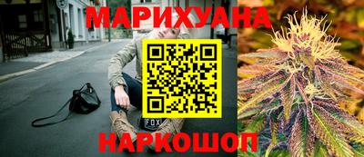 гидра Кимры