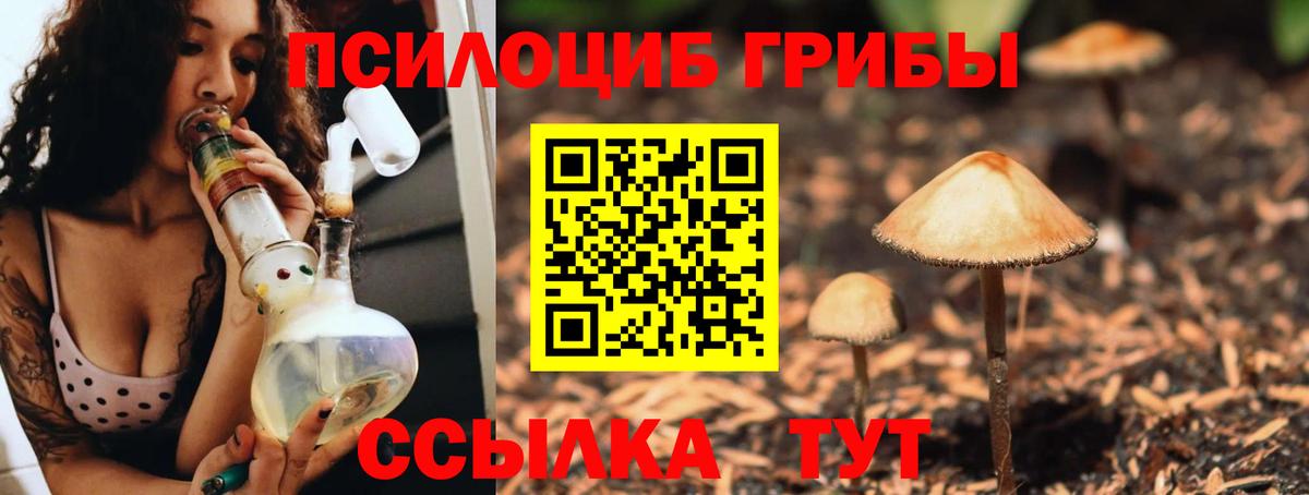 Кохма  Псилоцибиновые грибы мухоморы  Галлюциногенные грибы GOLDEN TEACHER  Вход с VPN 