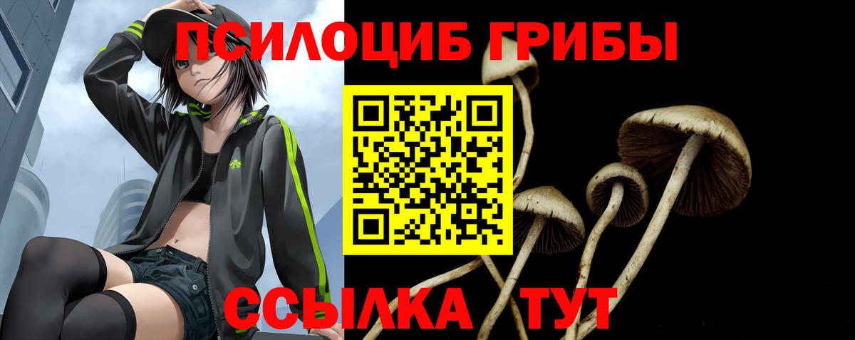 Галлюциногенные грибы Psilocybe Кохма