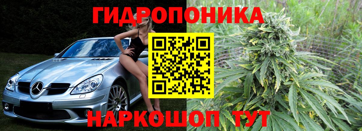 Кохма  Марихуана OG Kush  Каннабис семена  МАРИХУАНА сатива  Вход с VPN 